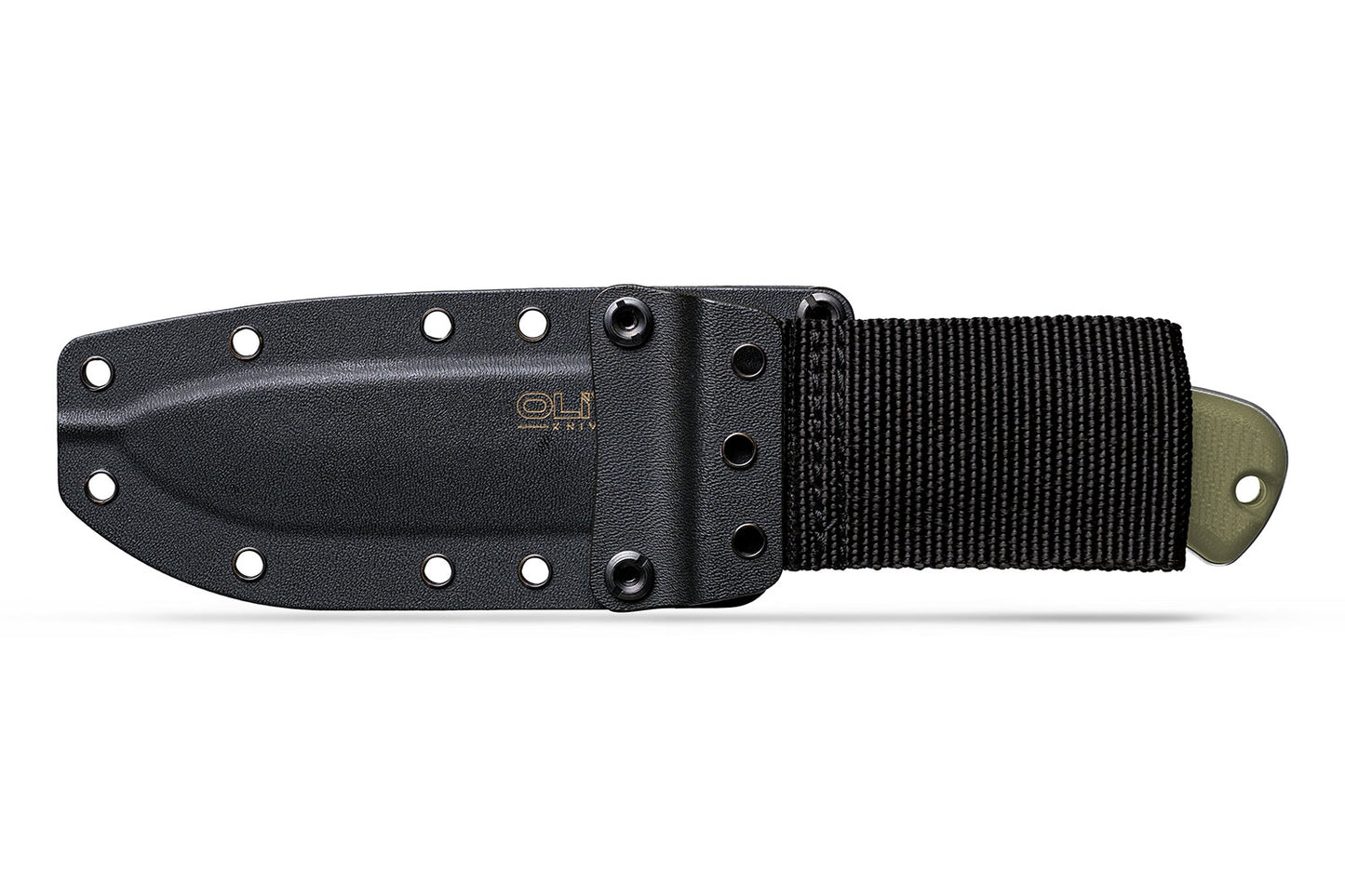 Arbor Fixed Blade — Built for the Long Haul