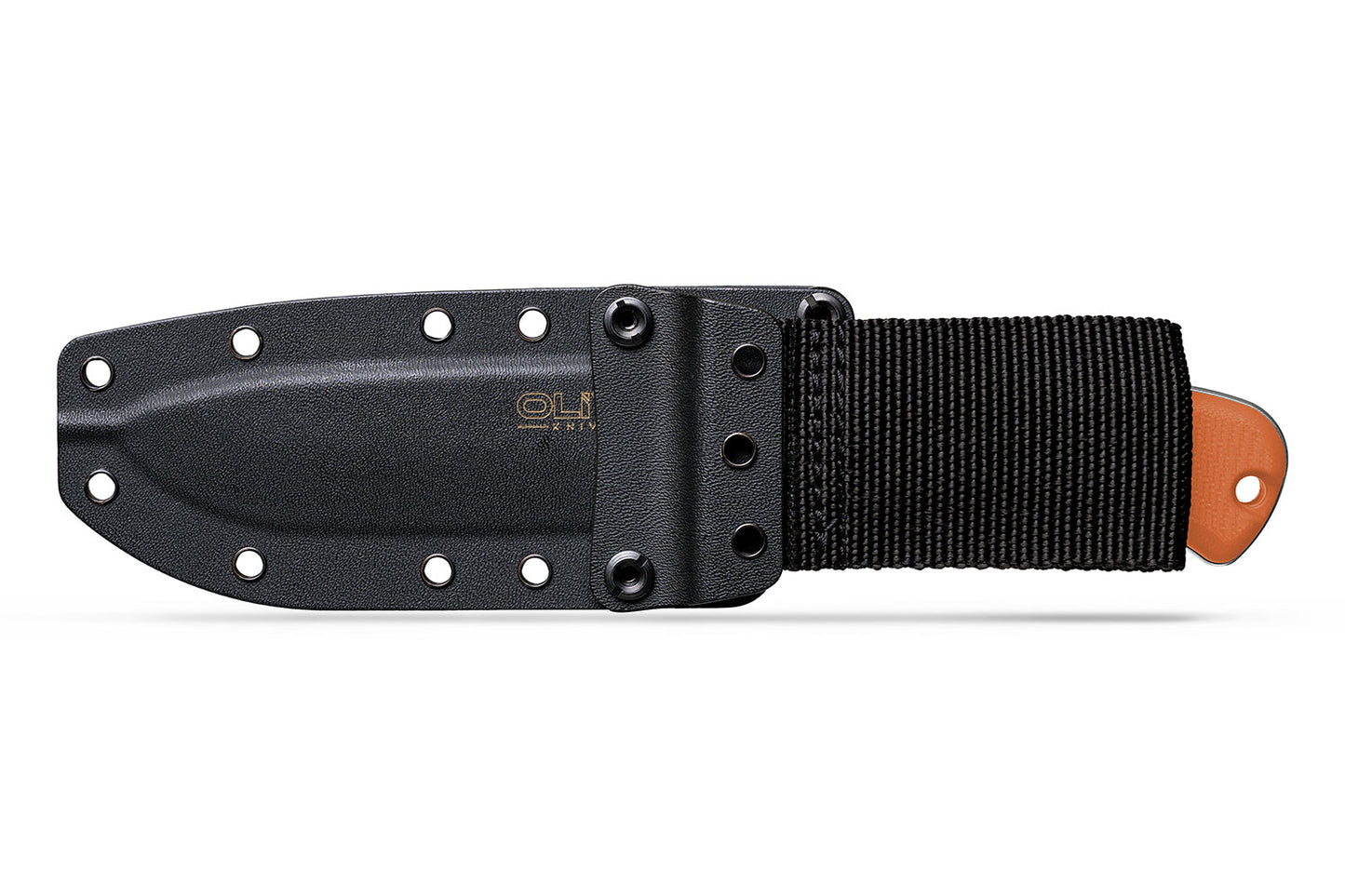 Arbor Fixed Blade — Built for the Long Haul