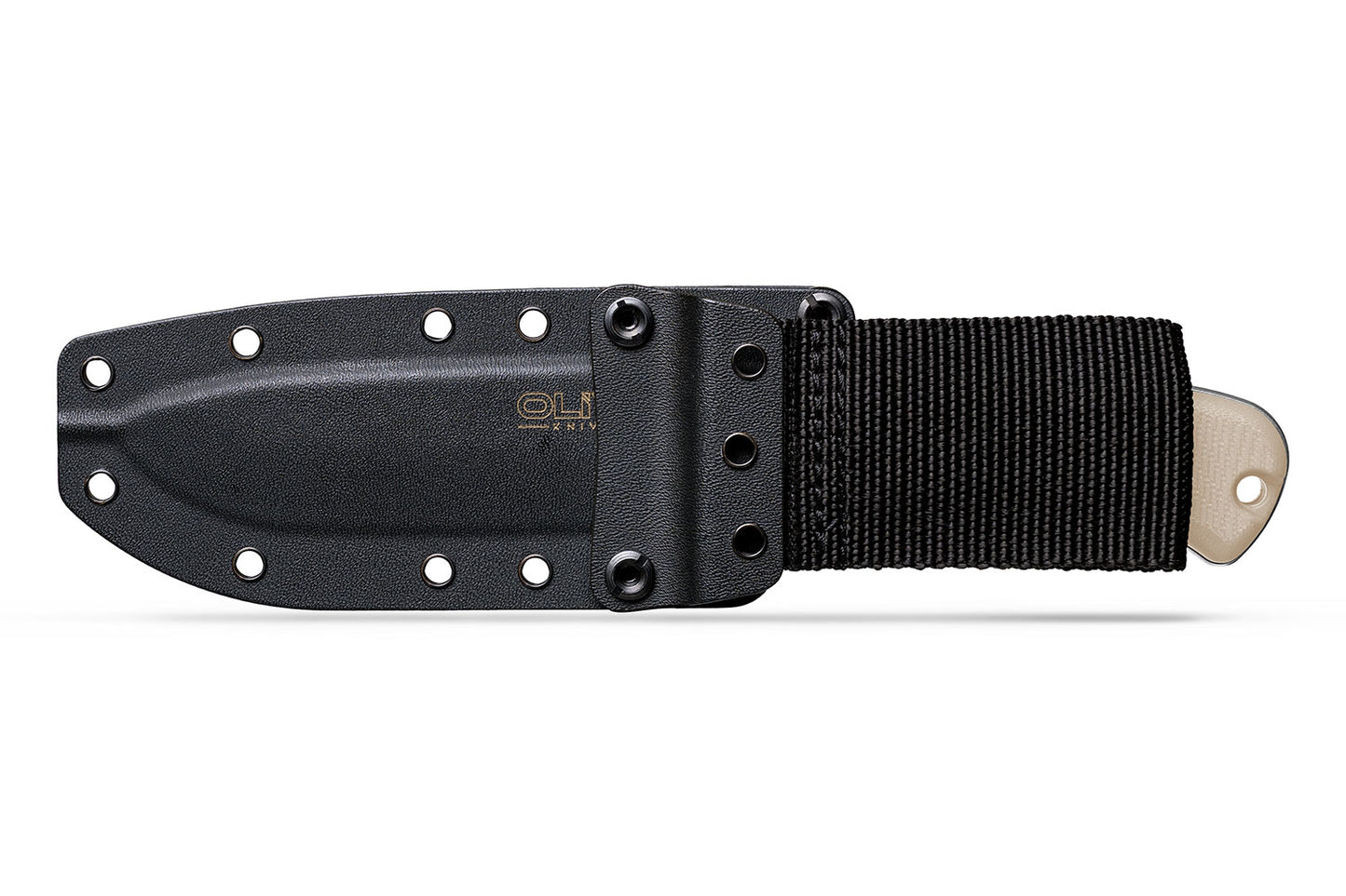Arbor Fixed Blade — Built for the Long Haul